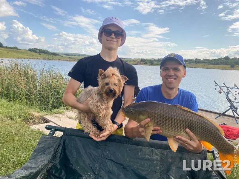 Carp — Rіvnenska oblast, Jun 25, 2023, 5:17 PM