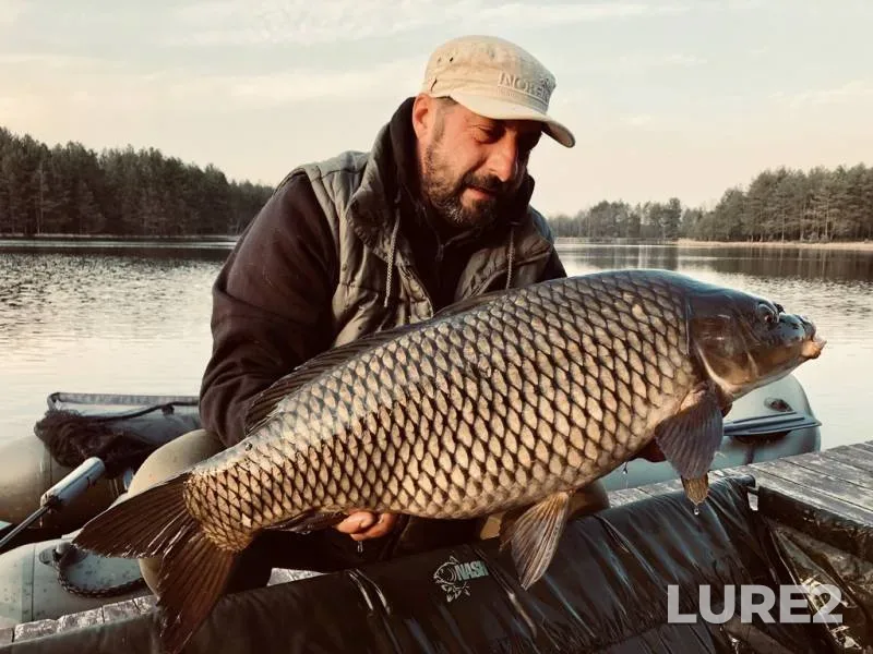 Carp — Zhitomirska oblast, Apr 06, 2019, 6:16 PM