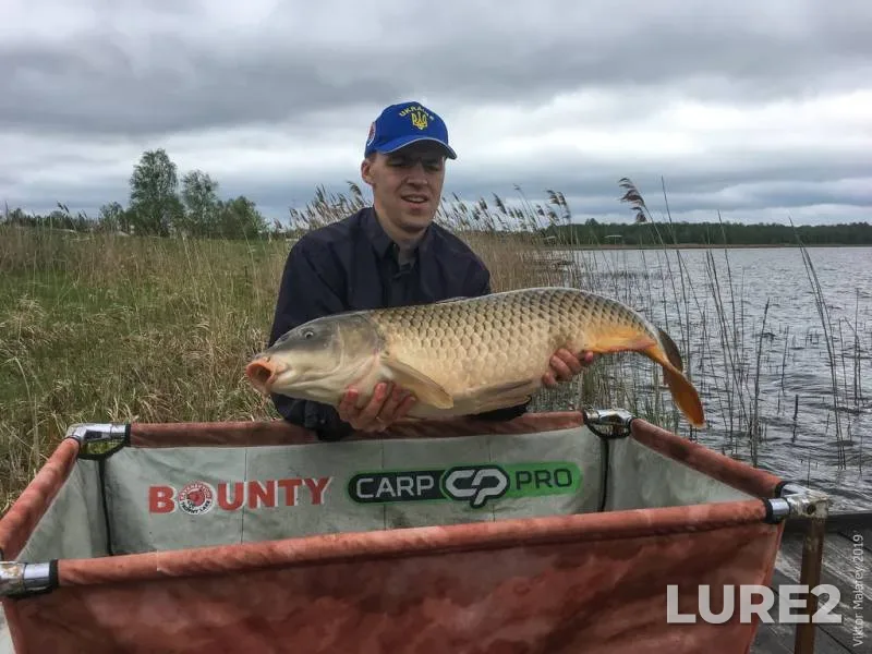 Carp — Volinska oblast, Apr 30, 2019, 2:48 PM