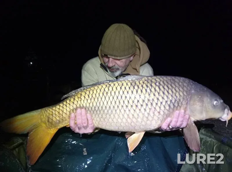 Carp — Khersonska oblast, Mar 29, 2018, 11:05 PM