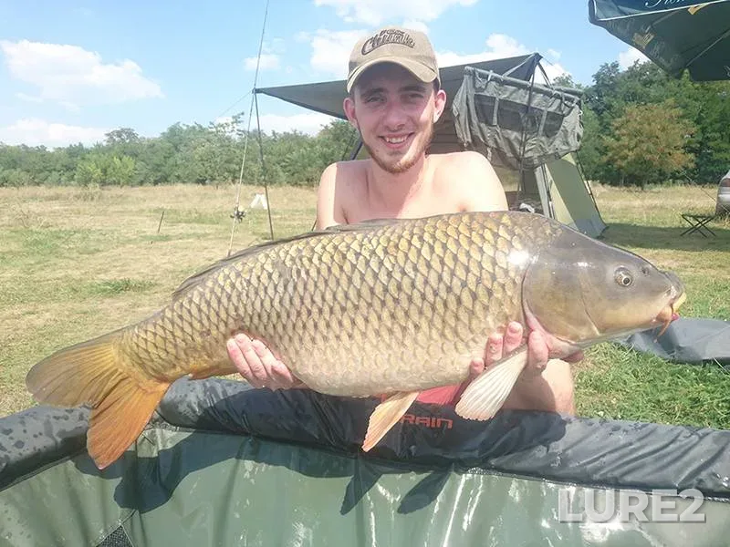 White bream — Shoshinskiy plyos, Jul 24, 2021