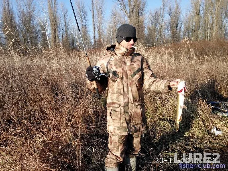 Pike — Poltavska oblast, Nov 20, 2016, 2:31 PM