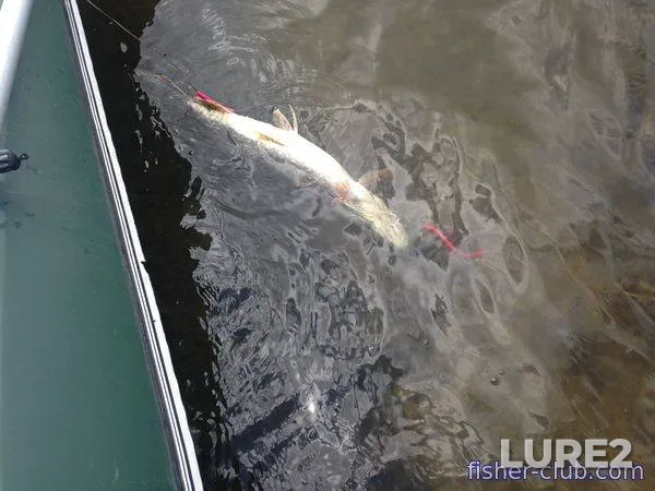 Pike — Dnepr, Jun 24, 2017, 10:52 AM