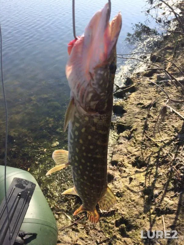 Pike — Makartovskoye, Sep 30, 2017