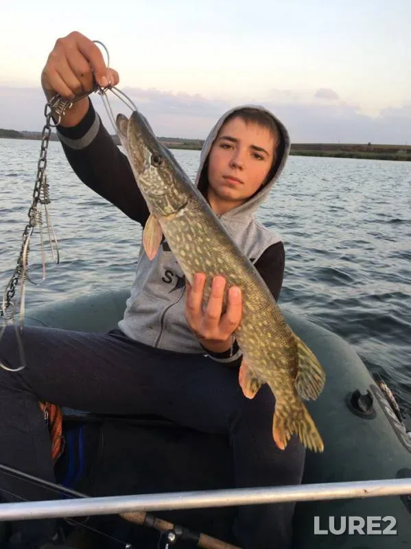 Pike, Zander — Makartovskoye, Sep 25, 2017