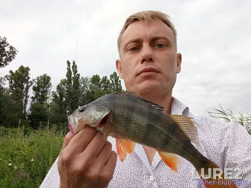 Perch — Kamenskoye, Jul 12, 2017, 8:17 AM