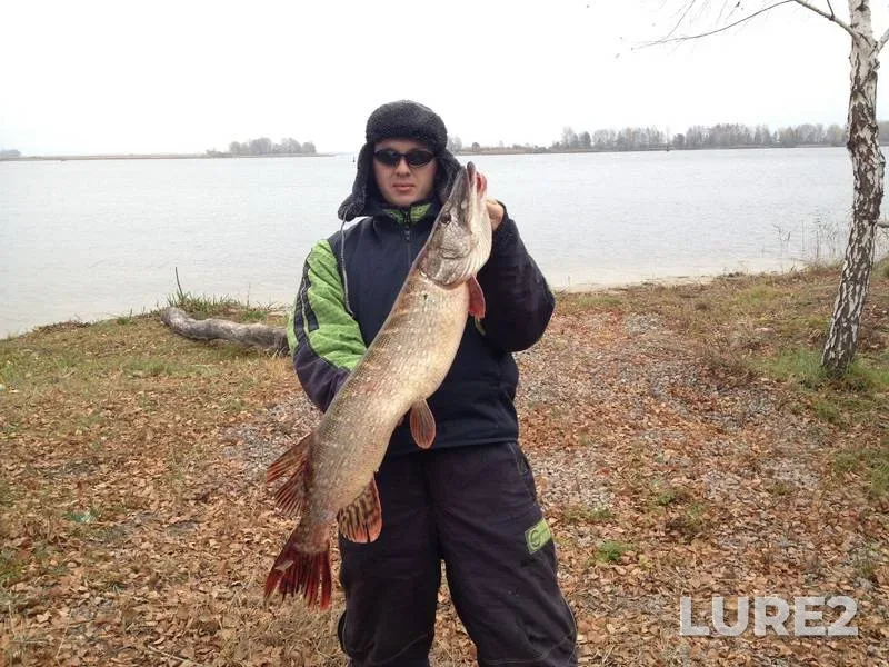 Pike — Stugna, Nov 02, 2013, 12:46 PM