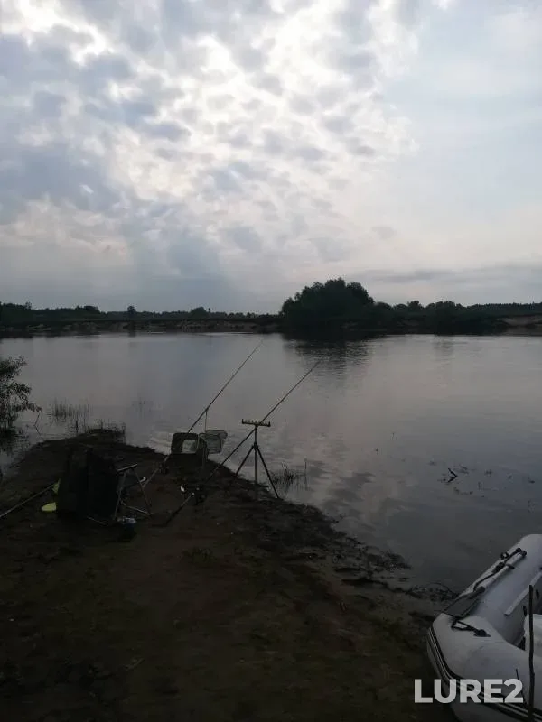 Bream, White bream — Gomelskaya oblast, Mozyrskiy rayon, Jul 03, 2023