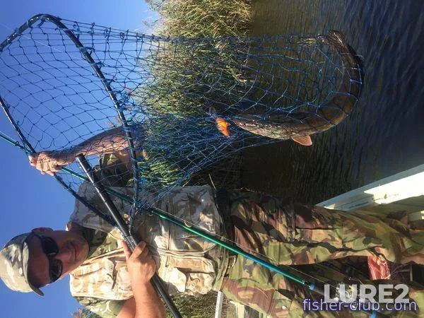 Carp — Kolpyana, Jun 02, 2013