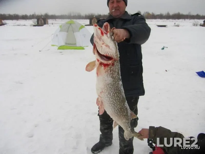 Pike — Kolpyana, Feb 13, 2014