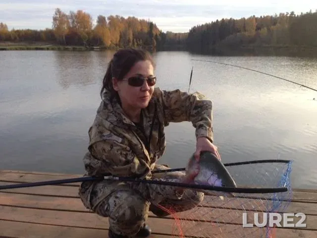 Rainbow trout — Kolpyana, Oct 11, 2014