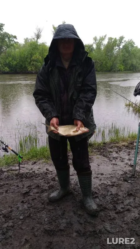 Bream — Sіverskiy Donets / Severskiy Donets, May 14, 2018, 9:04 AM