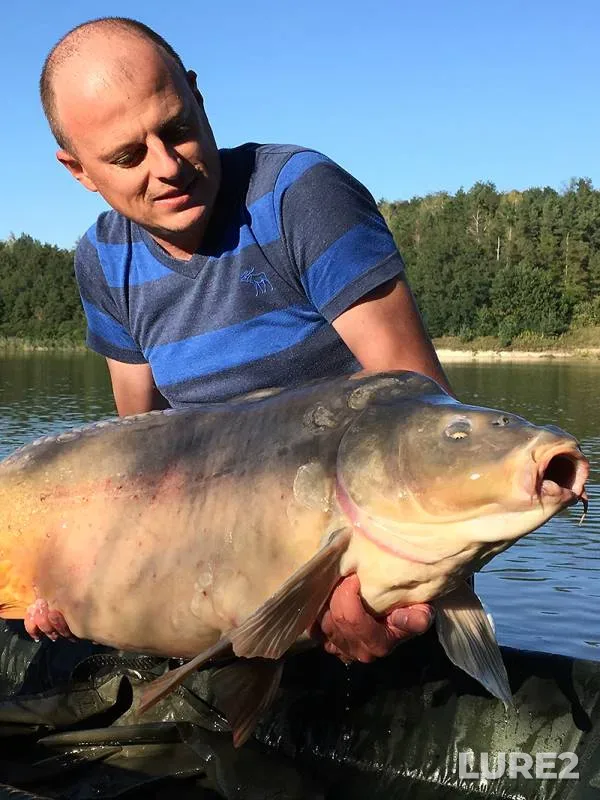 Carp — Kiїvska oblast, Sep 01, 2016, 5:35 PM