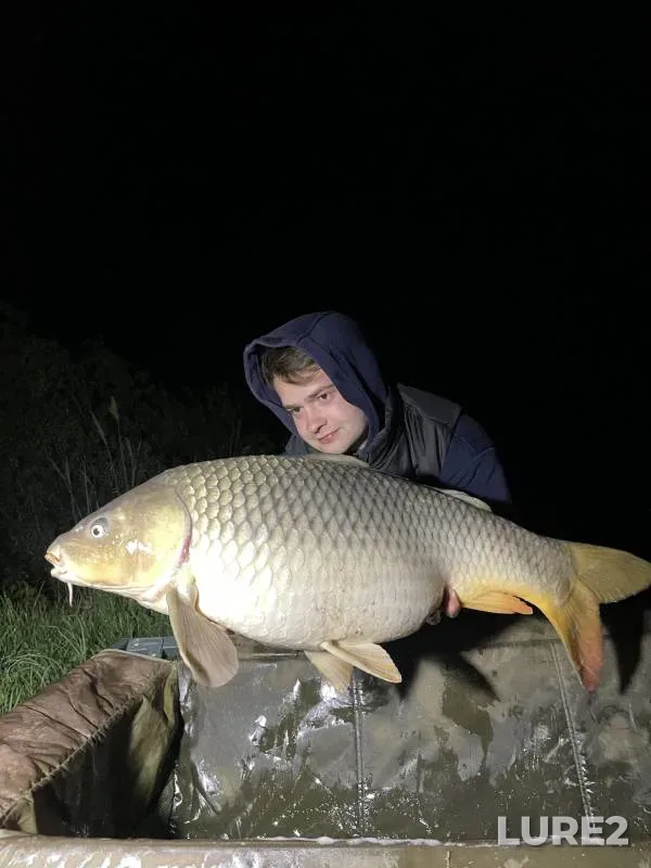 Bream, Roach — Vileyskoye, Dec 11, 2022
