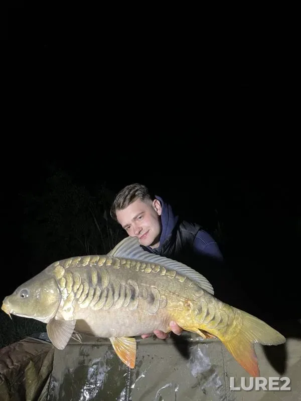 Carp — Poltavska oblast, Apr 29, 2024, 11:16 PM