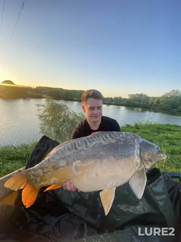 Carp — Poltavska oblast, Apr 29, 2024, 7:32 PM
