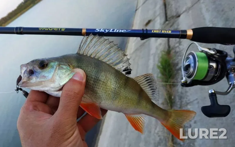 Perch — Dnіpropetrovska oblast, Jul 03, 2019, 7:48 PM