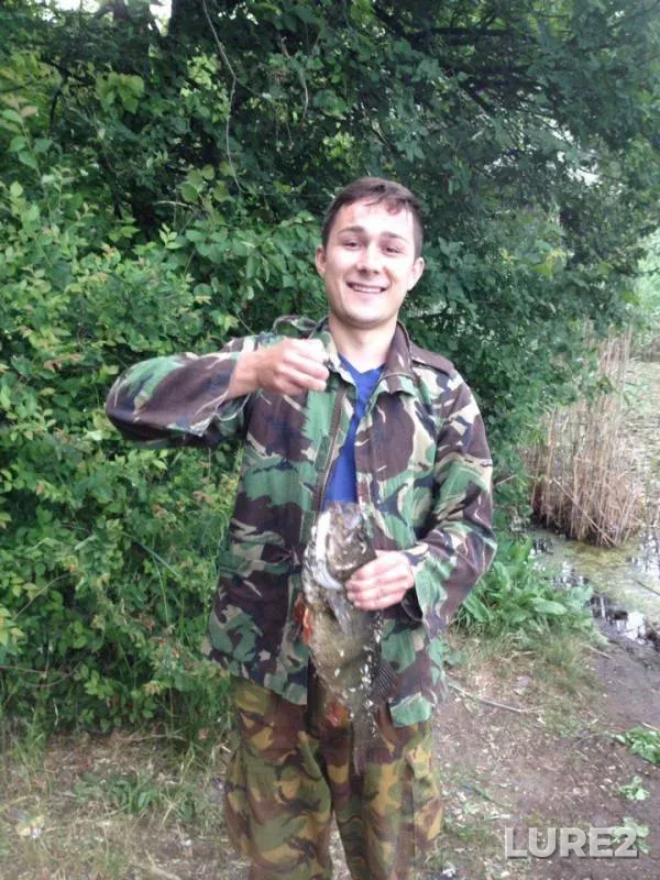 Perch — Dnіpropetrovska oblast, Jun 10, 2017