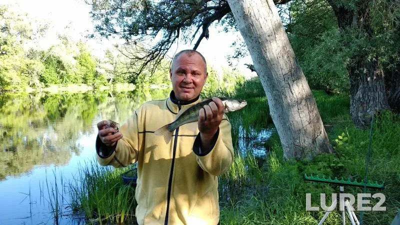Bream, Roach — Sozh, Jun 30, 2023