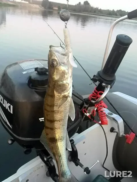Pike — Moskva, Mar 17, 2024, 5:53 PM