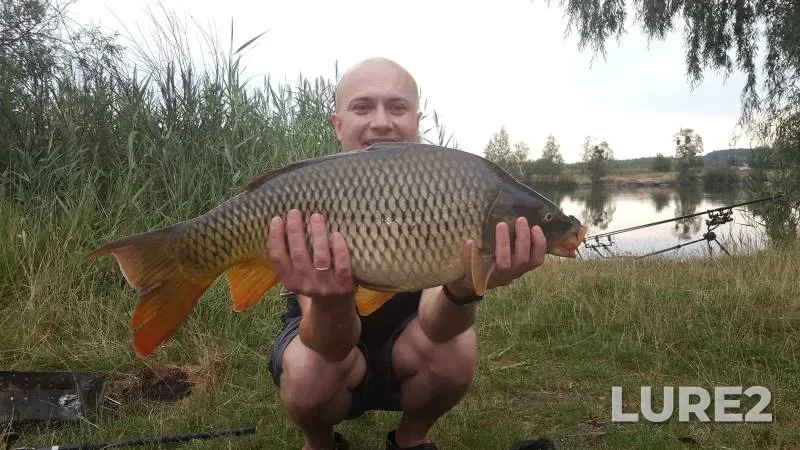 Bream — Moskva, Apr 25, 2024