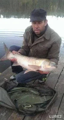 Roach — Ratomka, Jan 30, 2024