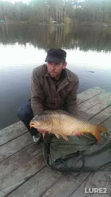 Perch, Roach — Usyazha, Feb 03, 2024