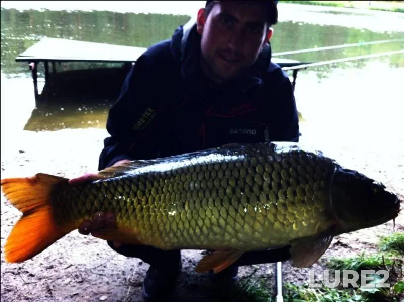Carp — Kiїvska oblast, Aug 14, 2012, 5:35 PM