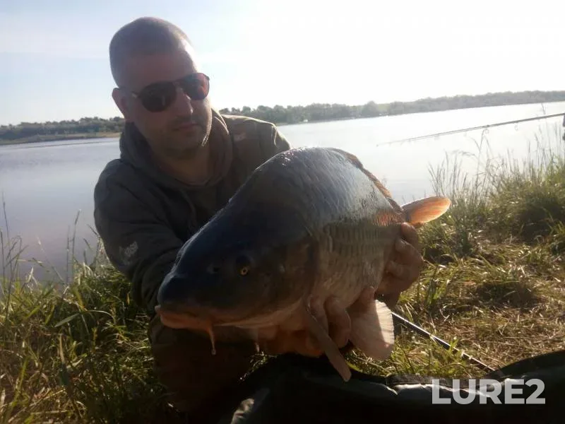 Carp — Dnіpropetrovska oblast, Jun 05, 2017