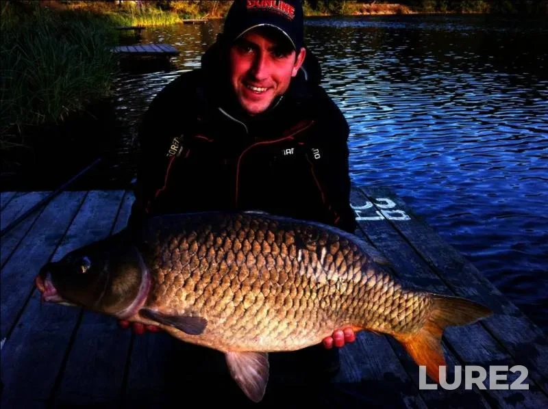 Carp — Kiїvska oblast, Sep 08, 2012, 6:54 PM