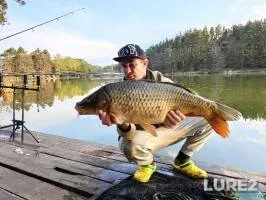 Crucian carp — Sivelga, May 08, 2022