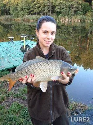 Carp — Kiїvska oblast, Sep 29, 2012, 6:11 PM