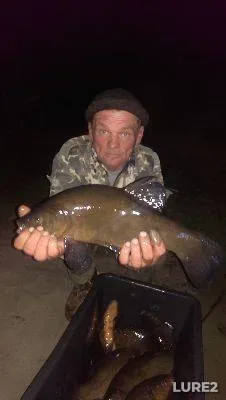 Bream, Roach — Zaslavskoye, May 23, 2022