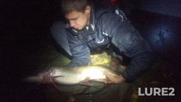 Pike — Kiїvska oblast, Oct 20, 2013, 8:51 PM