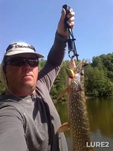 Pike — Kiїvska oblast, May 11, 2013, 3:50 PM