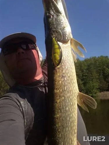 Pike — Kiїvska oblast, May 11, 2013, 4:24 PM