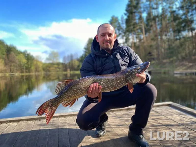 Pike — Kiїvska oblast, Apr 27, 2021, 4:42 PM