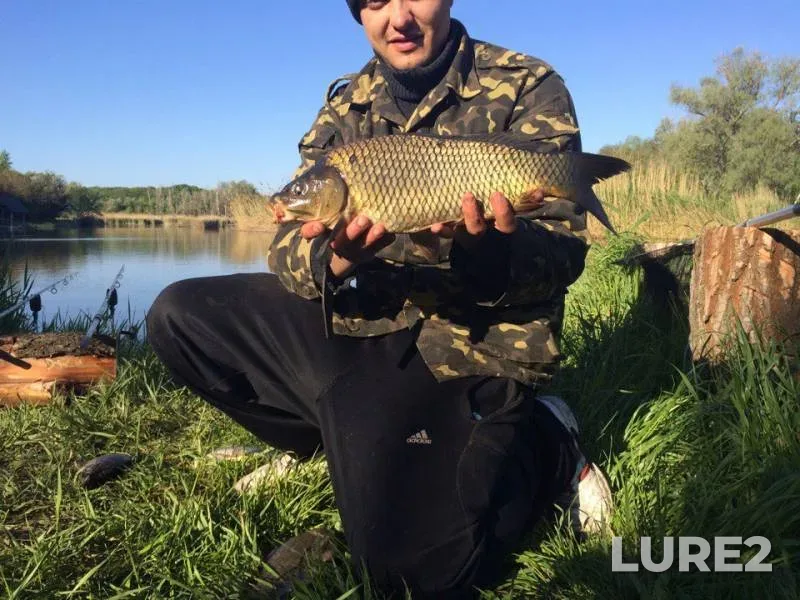 Carp — Zaporіzka oblast, May 18, 2017