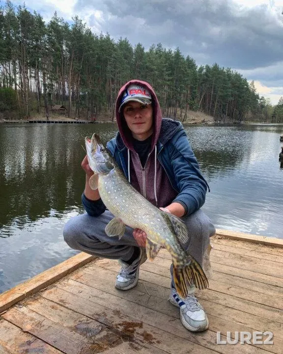 Pike — Kiїvska oblast, Apr 25, 2021, 12:47 PM