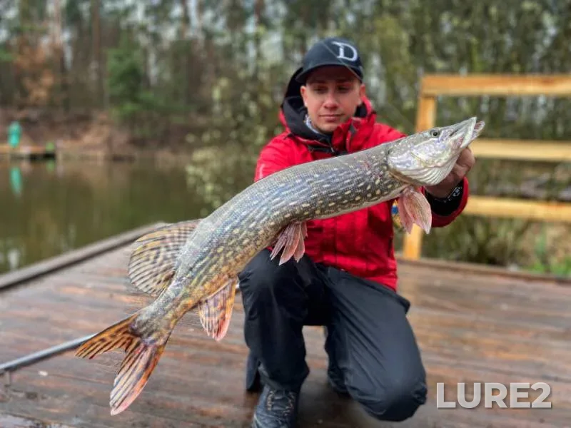 Pike — Kiїvska oblast, Apr 17, 2021, 10:59 AM
