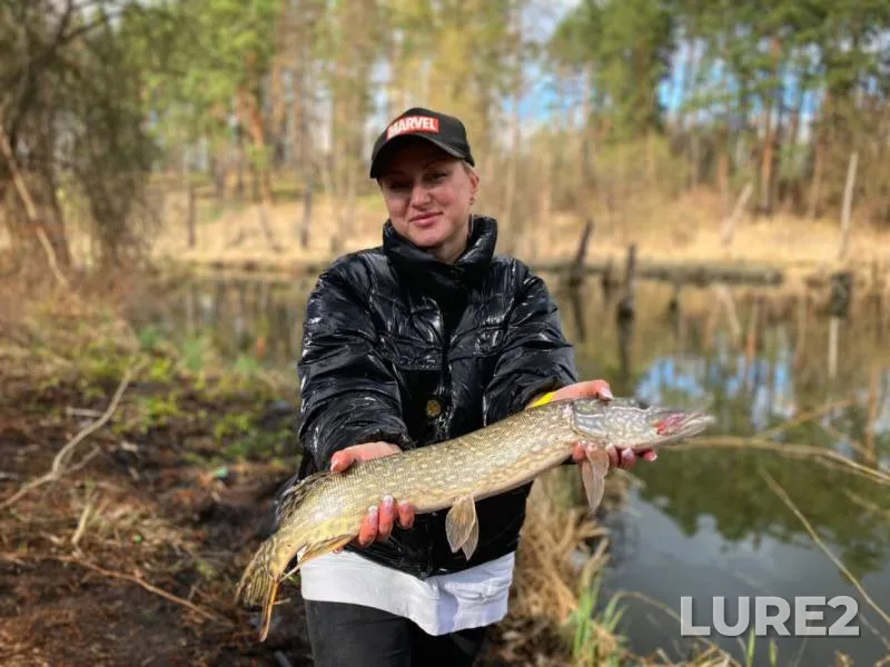Pike — Kiїvska oblast, Apr 18, 2021, 4:20 PM