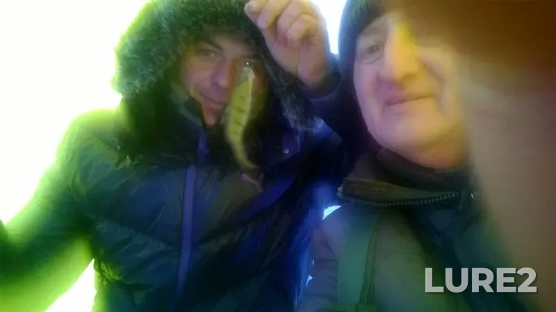 Perch — Isakovskoye, Jan 03, 2016, 10:26 AM