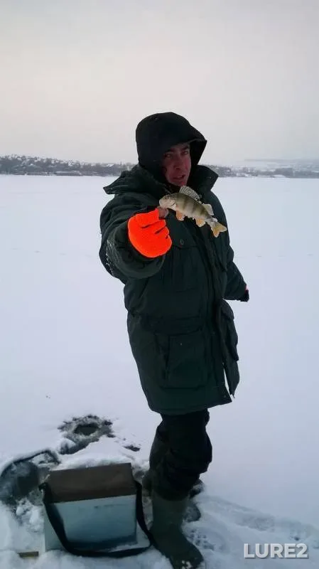 Perch — Isakovskoye, Jan 03, 2016, 9:14 AM
