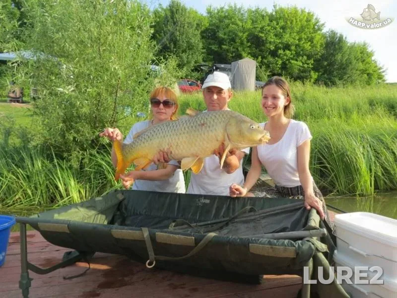 Carp — Kiїvska oblast, Jun 08, 2014, 6:47 PM