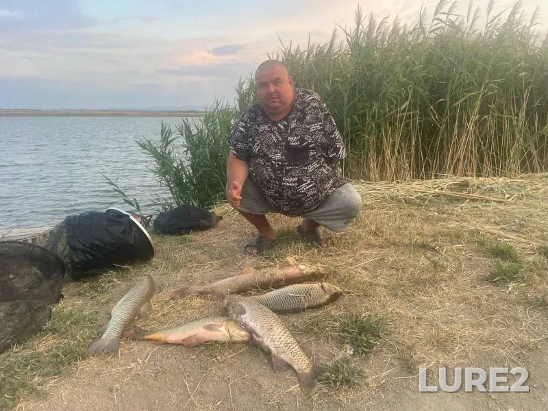 Bream, Roach — Dnepr, Jun 02, 2024