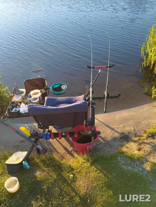Carp, Crucian carp — Primorskiy orositelnyy kanal, Sep 06, 2022