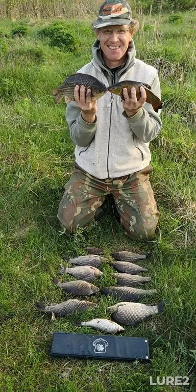 Carp — Tula, Jun 09, 2023