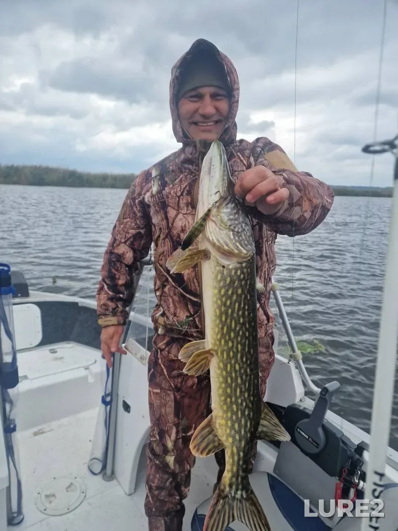 Pike — Vorskla, Nov 03, 2024, 5:25 PM