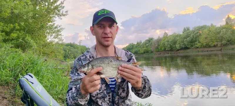 Bream, Crucian carp — Dnepr, May 26, 2024