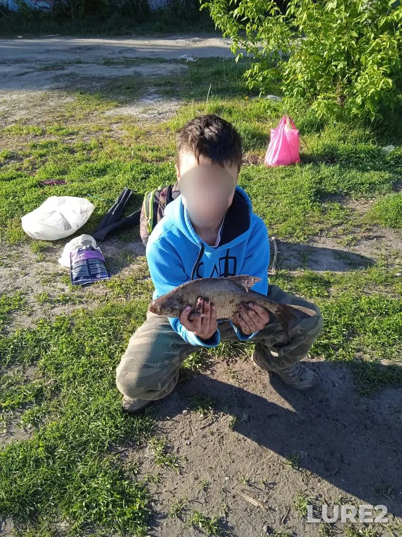 Bream, Chub — Dnepr, May 28, 2024